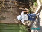 thumbs/pict0059.jpg