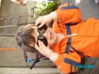 thumbs/pict0063.jpg