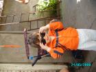 thumbs/pict0064.jpg