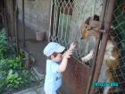 thumbs/pict0069.jpg