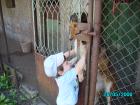 thumbs/pict0070.jpg