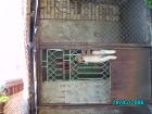 thumbs/pict0071.jpg