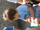 thumbs/pict0086.jpg