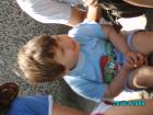 thumbs/pict0087.jpg