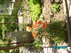 thumbs/pict0096.jpg