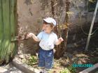 thumbs/pict0057.jpg