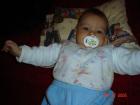 thumbs/DSC01178.jpg