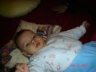 thumbs/DSC01184.jpg