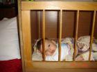 thumbs/DSC01441.jpg