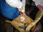 thumbs/DSC01540.jpg