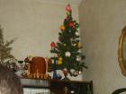 thumbs/pict0218.jpg