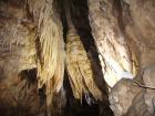 thumbs/pict0333.jpg