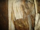 thumbs/pict0334.jpg