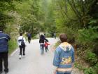 thumbs/pict0379.jpg