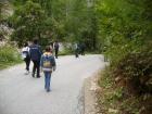 thumbs/pict0380.jpg
