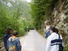 thumbs/pict0385.jpg
