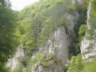 thumbs/pict0392.jpg