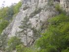 thumbs/pict0393.jpg