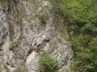 thumbs/pict0394.jpg