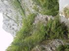 thumbs/pict0396.jpg