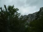 thumbs/pict0397.jpg