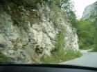 thumbs/pict0398.jpg