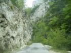 thumbs/pict0404.jpg