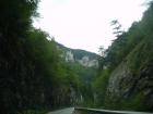 thumbs/pict0406.jpg