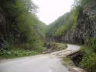 thumbs/pict0408.jpg