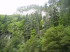 thumbs/pict0411.jpg