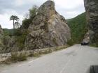 thumbs/pict0427.jpg