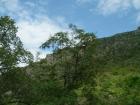 thumbs/pict0447.jpg