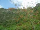 thumbs/pict0449.jpg