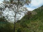 thumbs/pict0450.jpg