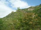 thumbs/pict0451.jpg