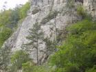 thumbs/pict0393.jpg