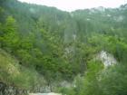thumbs/pict0401.jpg