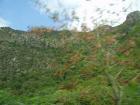 thumbs/pict0449.jpg