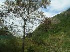 thumbs/pict0450.jpg
