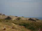 thumbs/pict0233.jpg