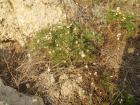 thumbs/pict0238.jpg