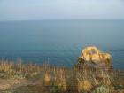 thumbs/pict0244.jpg