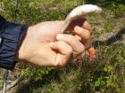 thumbs/pict1072.jpg