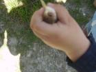 thumbs/pict1073.jpg