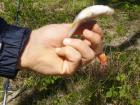 thumbs/pict1072.jpg