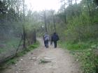 thumbs/pict0946.jpg