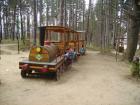 thumbs/pict0954.jpg