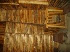 thumbs/pict0962.jpg