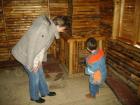 thumbs/pict0963.jpg