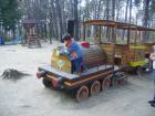thumbs/pict0974.jpg